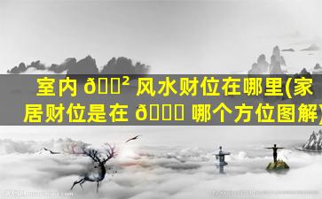 室内 🌲 风水财位在哪里(家居财位是在 🕊 哪个方位图解)